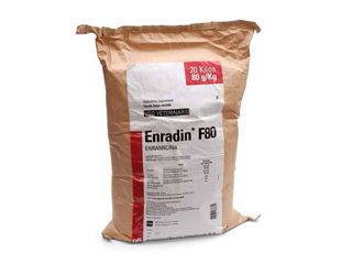 Erandin F80