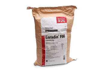 Erandin F80
