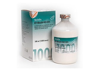 NOBILIS